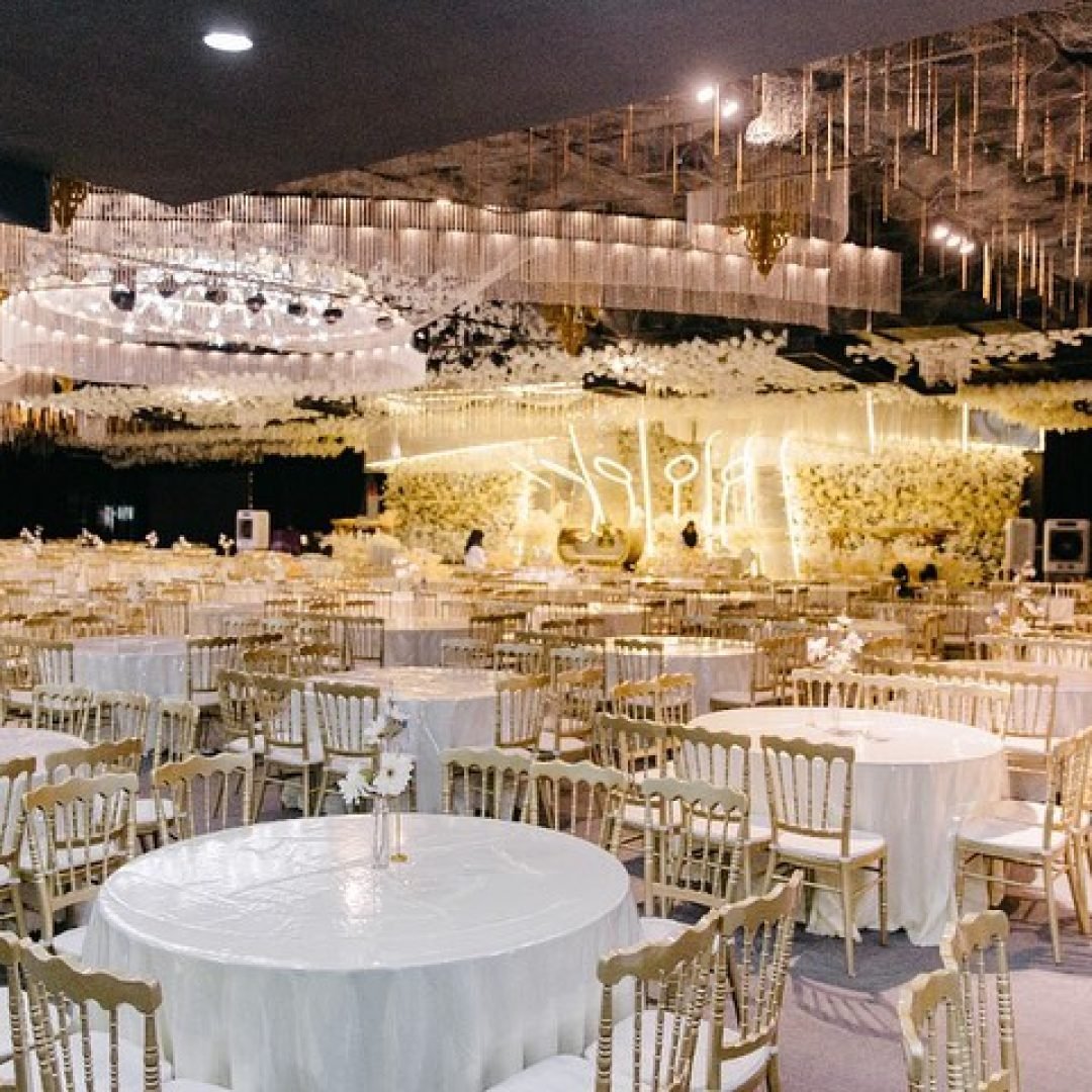 484228708_1170785345054875_1326979521518187063_n (1)